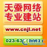 渝中网页设计公司 专业服务、合理价格与优质供应商选择